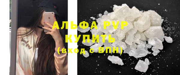мяу мяу мука Баксан