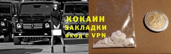 шишки Балахна