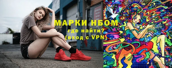 PSILOCYBIN Балабаново