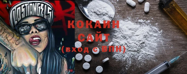 шишки Балахна