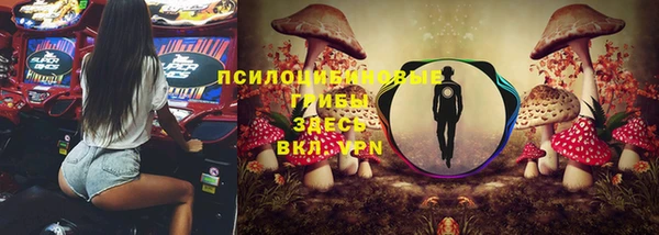 мяу мяу мука Баксан