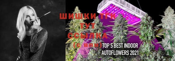 PSILOCYBIN Балабаново