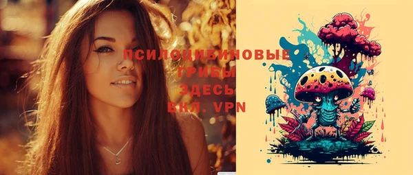 шишки Балахна