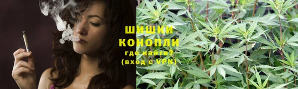 мяу мяу мука Баксан