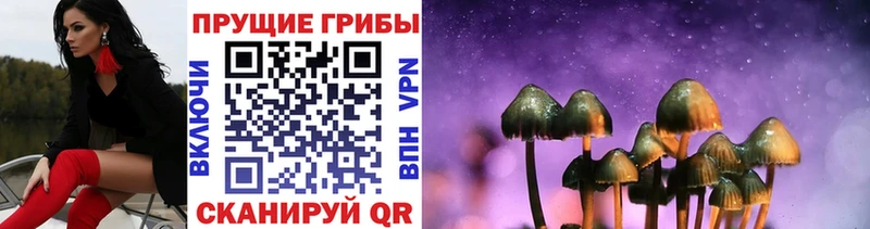 Галлюциногенные грибы Magic Shrooms закладки Шахты